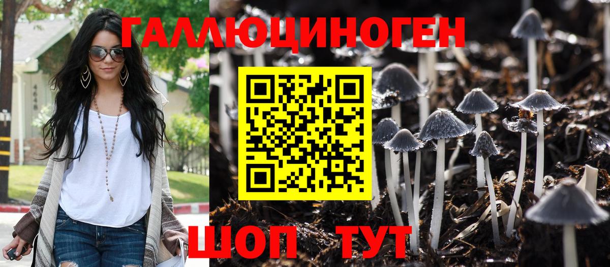 Галлюциногенные грибы GOLDEN TEACHER Арзамас