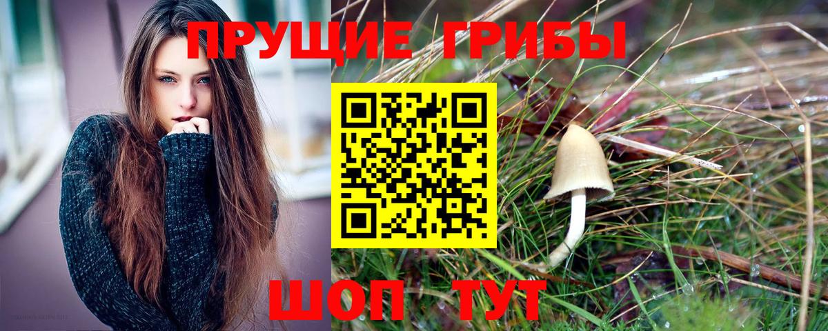 Галлюциногенные грибы Psilocybine cubensis  Вход с VPN  Арзамас 